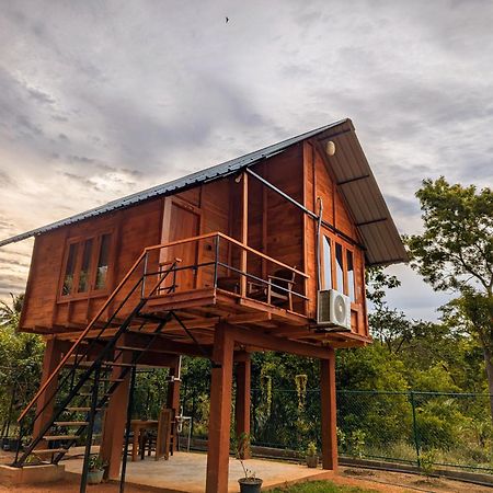 Lion Wood Treehouse Villa Talkote Eksteriør bilde