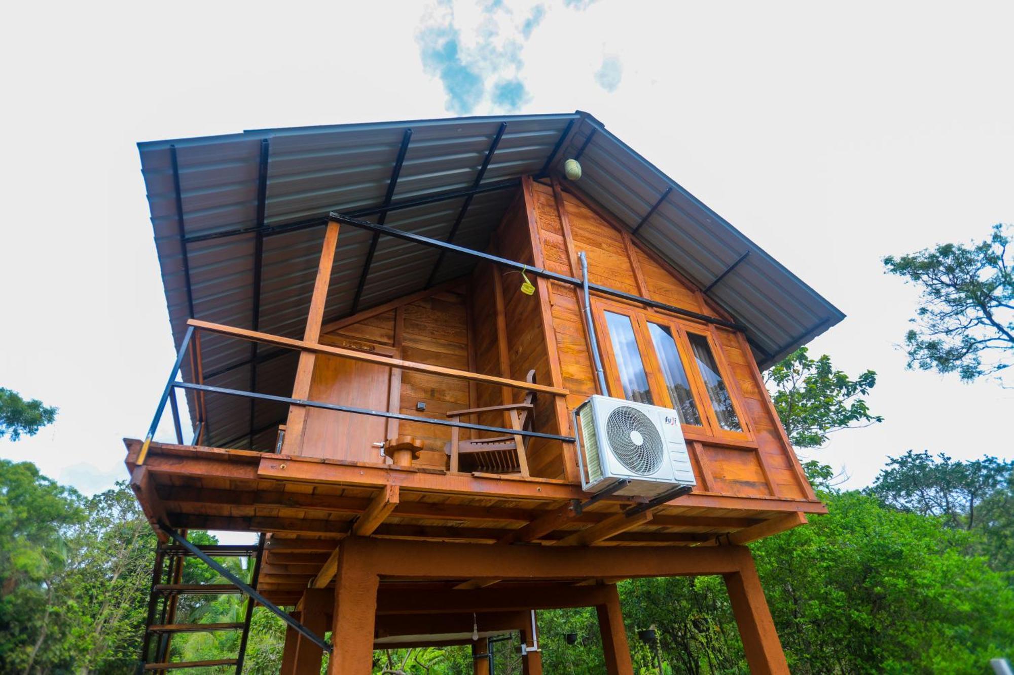 Lion Wood Treehouse Villa Talkote Eksteriør bilde
