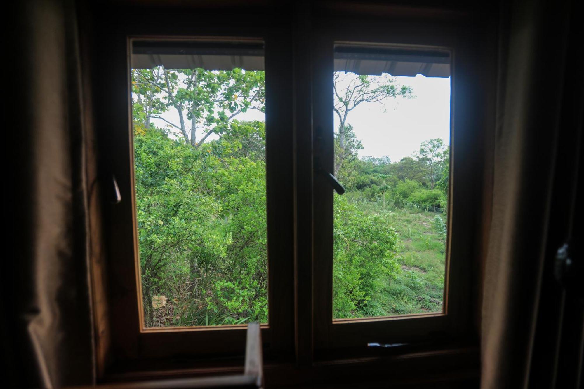 Lion Wood Treehouse Villa Talkote Eksteriør bilde