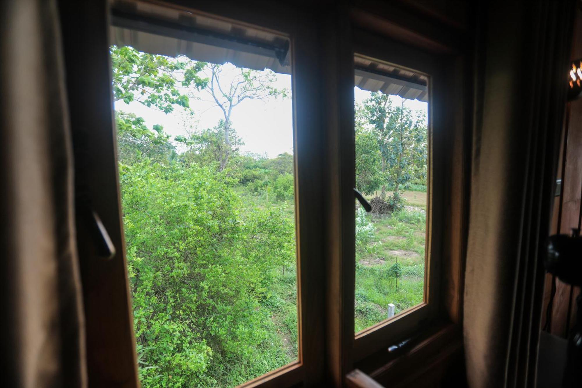 Lion Wood Treehouse Villa Talkote Eksteriør bilde