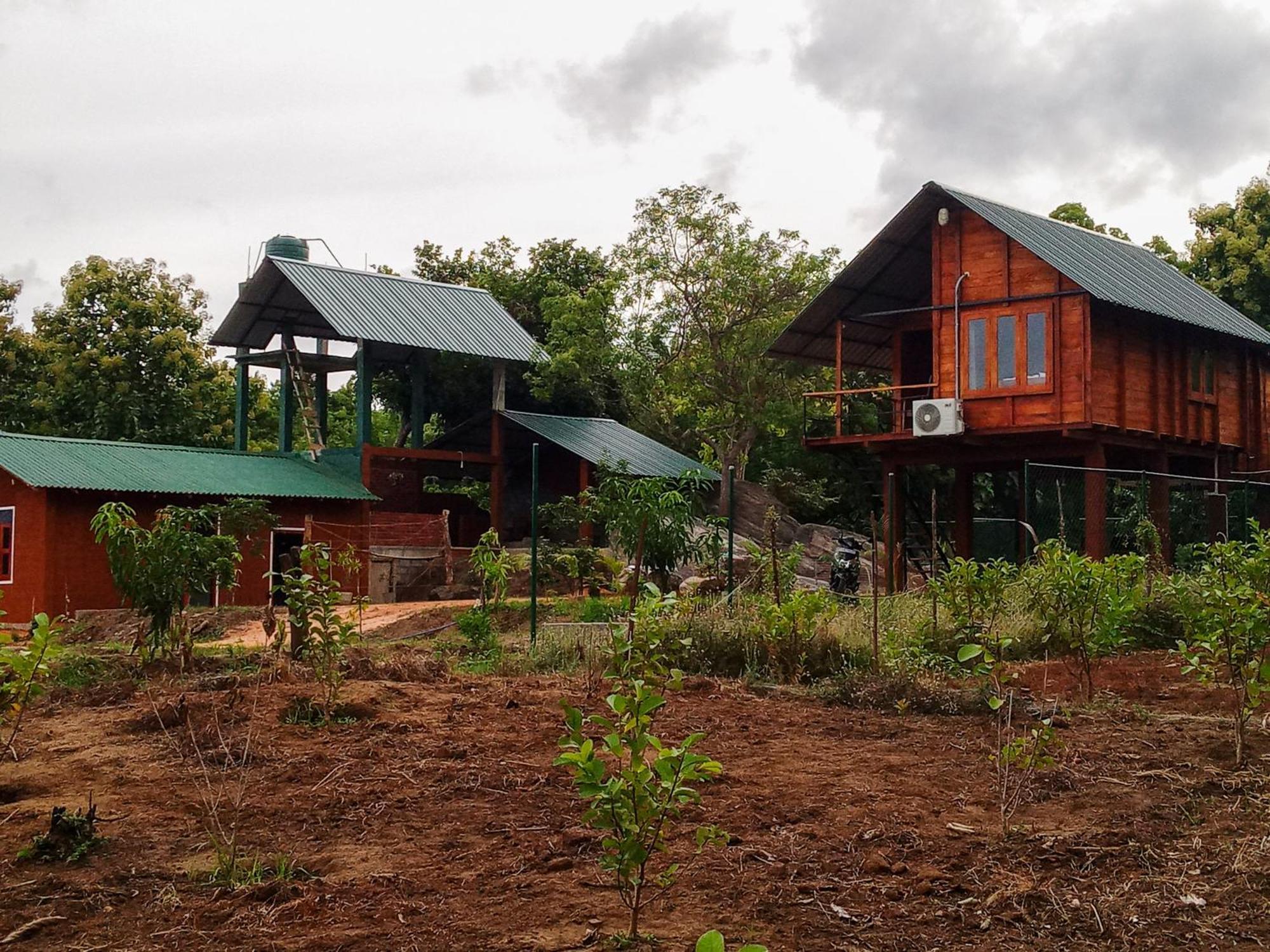 Lion Wood Treehouse Villa Talkote Eksteriør bilde
