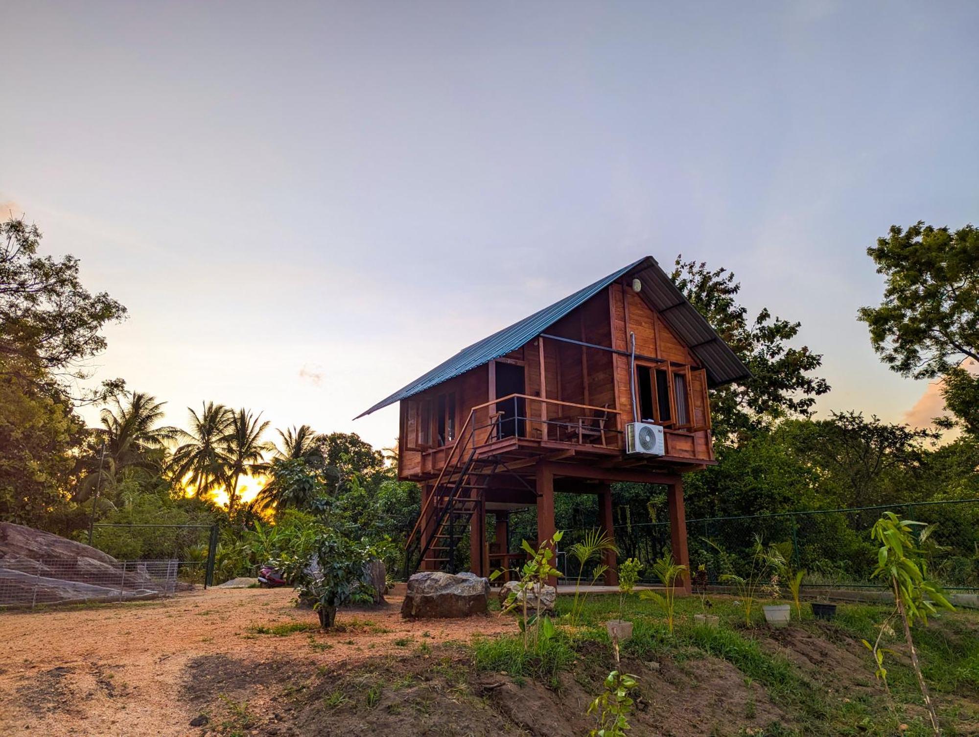 Lion Wood Treehouse Villa Talkote Eksteriør bilde