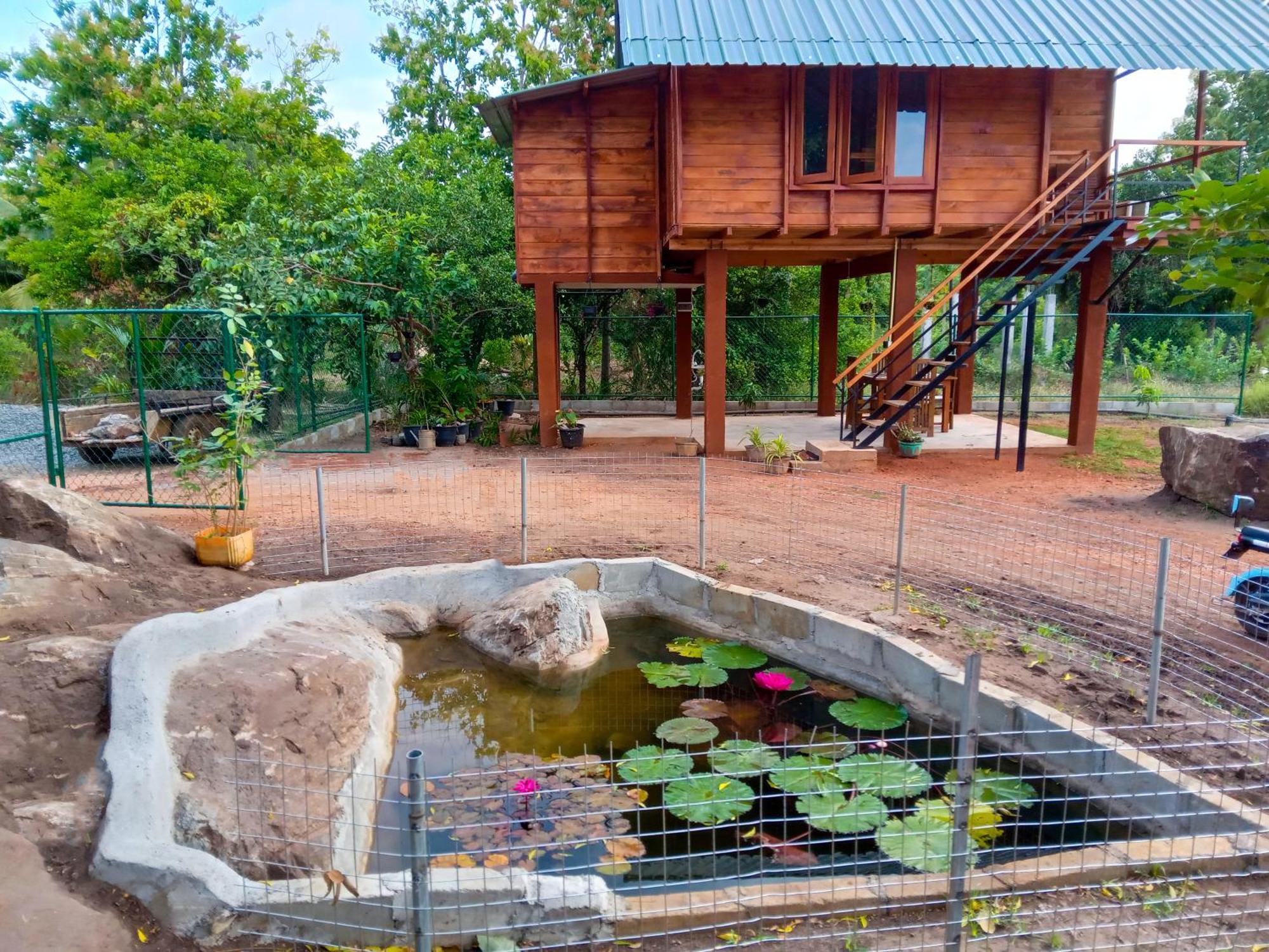 Lion Wood Treehouse Villa Talkote Eksteriør bilde