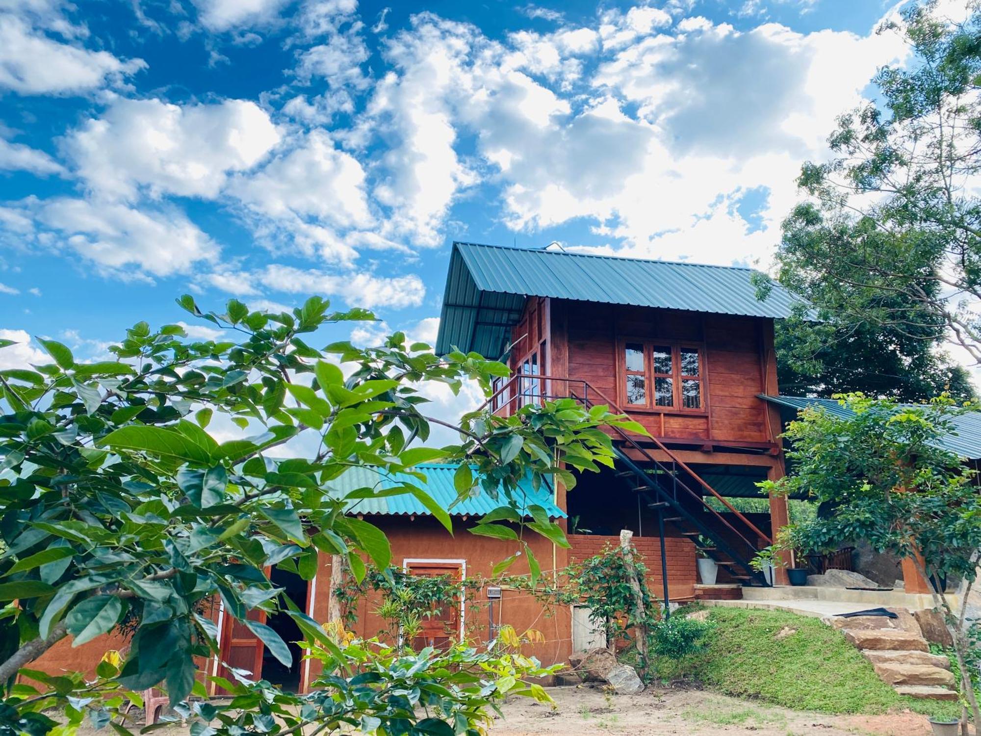 Lion Wood Treehouse Villa Talkote Eksteriør bilde